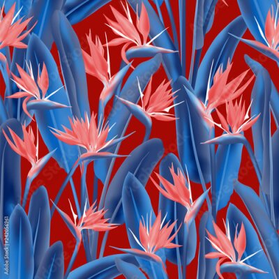 Papier peint  Modèle sans couture de vecteur fleur grue tropicale. Conception de tissu tropical été jungle plante paradis. Afrique du Sud plante tropicale fleur de fleur de grue, strelitzia. Imprimé textile floral.