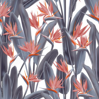 Papier peint  Modèle sans couture de vecteur fleur grue tropicale. Conception de tissu tropical été jungle plante paradis. Afrique du Sud plante tropicale fleur de fleur de grue, strelitzia. Papier peint floral.