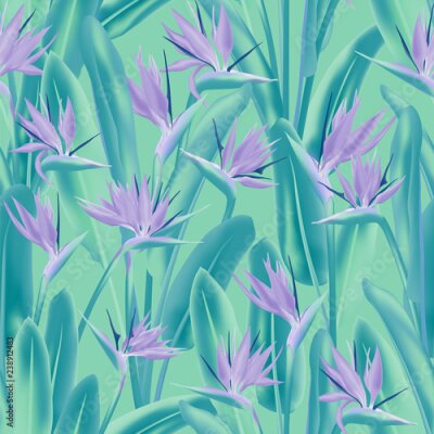 Papier peint  Modèle sans couture de vecteur oiseau de paradis fleur tropicale. Conception d'impression de tissu de plantes tropicales de Bohême. Afrique du Sud plante tropicale fleur de fleur de grue, strelitzia. 