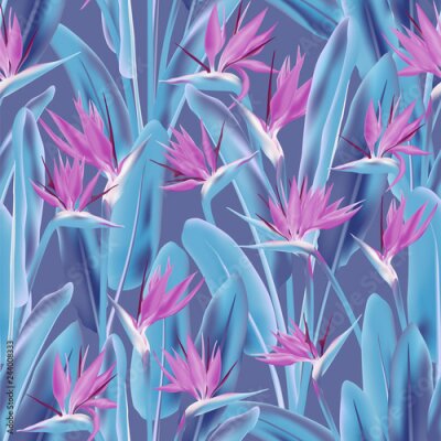 Papier peint  Modèle sans couture de vecteur oiseau de paradis fleur tropicale. Conception de tissu de plantes tropicales exotiques Jungle. Afrique du Sud plante tropicale fleur de fleur de grue, strelitzia. Imprim