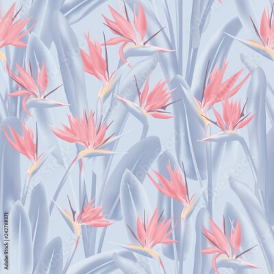 Papier peint  Modèle sans couture de vecteur oiseau de paradis fleur tropicale. Conception de tissu tropical été jungle plante paradis. Afrique du Sud plante tropicale fleur de fleur de grue, strelitzia. Imprimé te