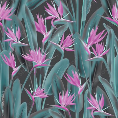 Papier peint  Modèle sans couture de vecteur oiseau de paradis fleur tropicale. Conception de tissu tropical été jungle plante paradis. Afrique du Sud plante tropicale fleur de fleur de grue, strelitzia. Imprimé te
