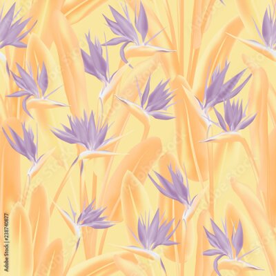 Papier peint  Modèle sans couture de vecteur oiseau de paradis fleur tropicale. Conception de tissu tropical été jungle plante paradis. Afrique du Sud plante tropicale fleur de fleur de grue, strelitzia. Papier pei