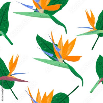 Papier peint  Modèle sans couture tropical avec fleurs et feuilles de Strelitzia reginae sur fond blanc. Fond floral dessiné à la main. Modèle pour impression, affiche, fête, fond de l'été, textile vintage. Vecteur