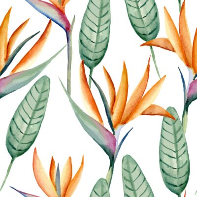Papier peint  Modèle sans soudure avec strelitzia. Aquarelle dessinée à la main. Illustration vectorielle