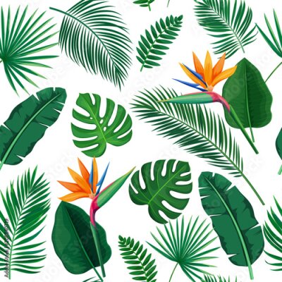 Papier peint  modèle sans soudure de feuilles tropicales