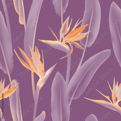 Papier peint  Modèle vectoriel sans soudure de fleurs tropicales sud-africaines orange et violet. Plante de la jungle, Strelitzia Reginae, également connue sous le nom d’oiseau de paradis. Illustration de fond Orne