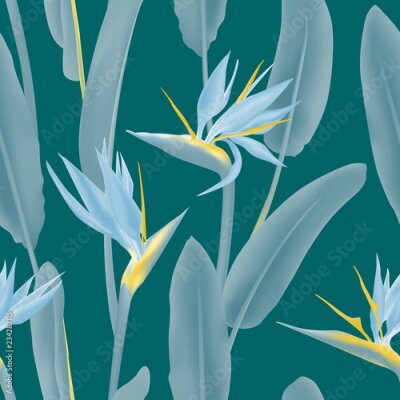 Papier peint  Modèle vectorielle continue de fleurs tropicales d'Afrique du Sud. Plante de la jungle Strelitzia Reginae connue sous le nom de fleur de grue, oiseau de paradis. Illustration de fond, impression de ti