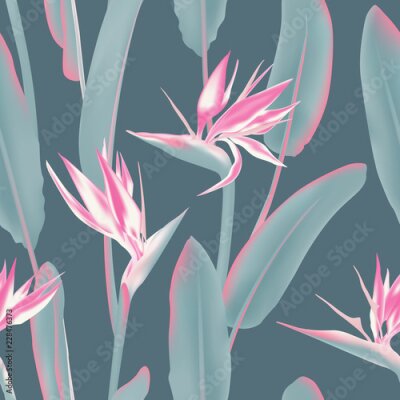 Papier peint  Modèle vectorielle continue de fleurs tropicales d'Afrique du Sud. Strelitzia Reginae, plante de la jungle, est également connue sous le nom de fleur de grue ou d’oiseau de paradis. Feuilles florales 