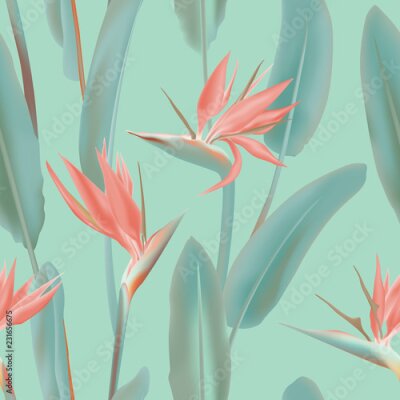 Papier peint  Modèle vectorielle continue rose fleur tropicale sud-africaine sur bleu. Plante de la jungle Strelitzia Reginae connue sous le nom de fleur de grue, oiseau de paradis. Illustration de fond, impression