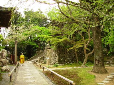 moine dans le temple jardin