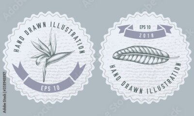 Papier peint  Monochrome labels design with illustration of strelitzia