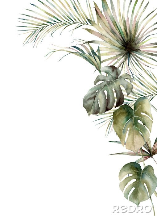 Papier peint  Monstera et feuilles de palmier