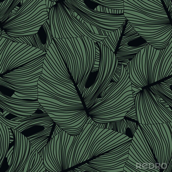 Papier peint  Monstera leaves seamless pattern on black background. Tropical pattern, botanical leaf backdrop.