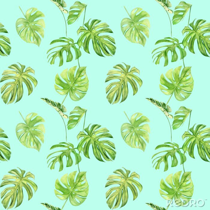 Papier peint  Monstère tropicale colorée