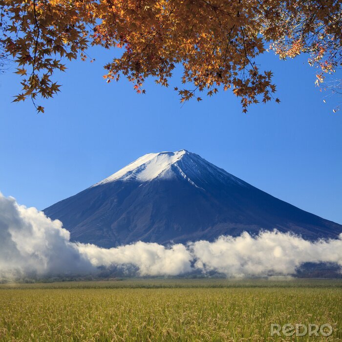 Papier peint  Mont Fuji en automne en Asie