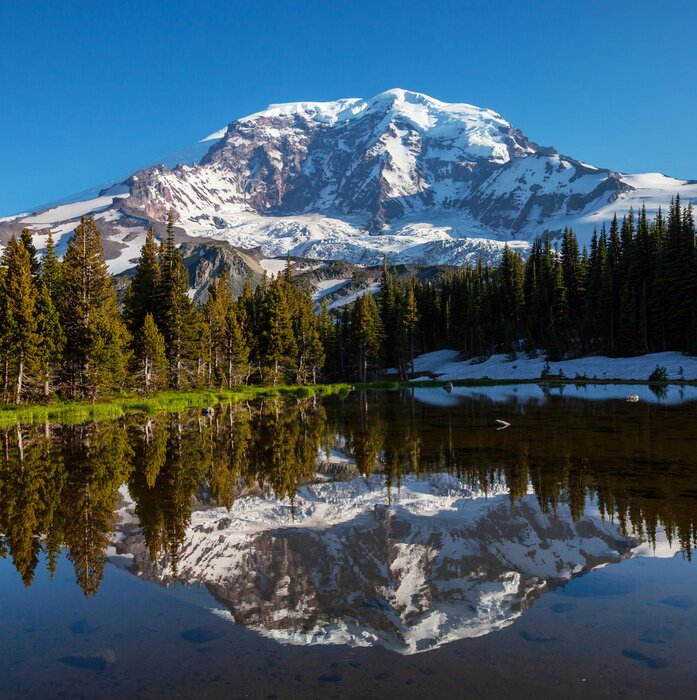 Papier peint  Montagne enneigé sommet et verdure