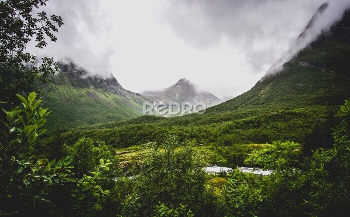 Papier peint  Montagne verte en Norvège