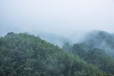 Papier peint  Montagnes boisées dans la brume