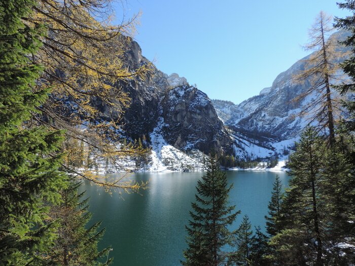 Papier peint  Montagnes de derrière les arbres