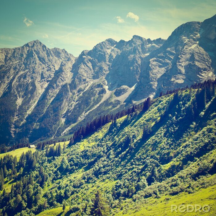 Papier peint  Montagnes en Allemagne en été