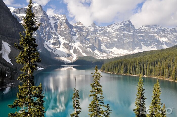 Papier peint  Montagnes enneigées au Canada