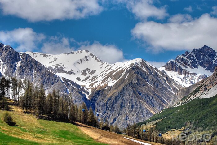 Papier peint  Montagnes et clairière verte