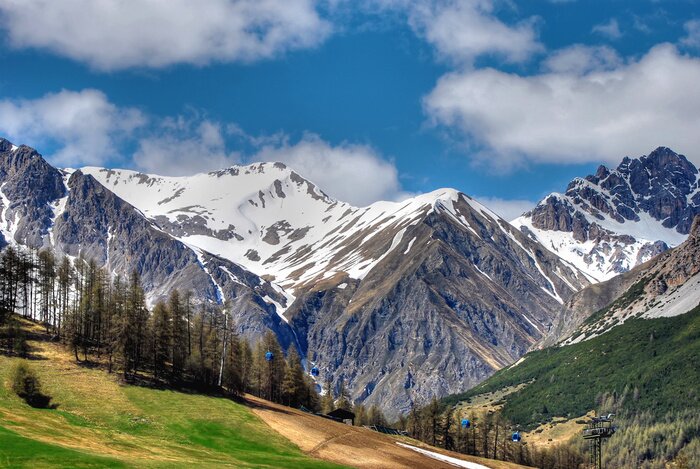 Papier peint  Montagnes et clairière verte