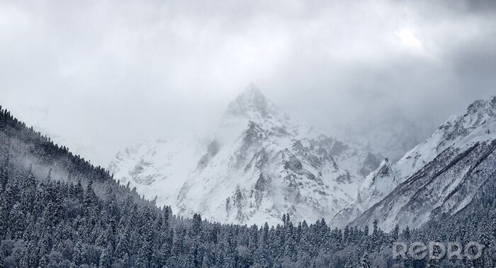 Papier peint  Montagnes et nature en hiver