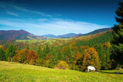 Papier peint  Montagnes, forêts et chevaux