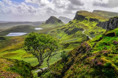 Papier peint  Montagnes vertes écossaises