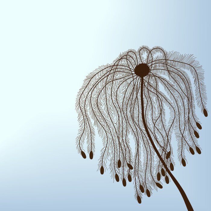 Papier peint  Motif abstrait avec un pissenlit