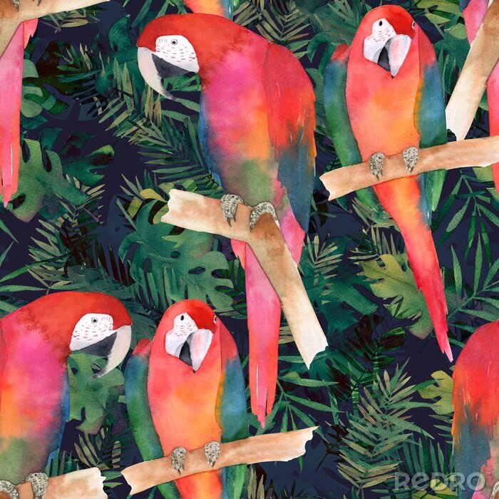 Papier peint  Motif aquarelle avec des oiseaux perroquets exotiques
