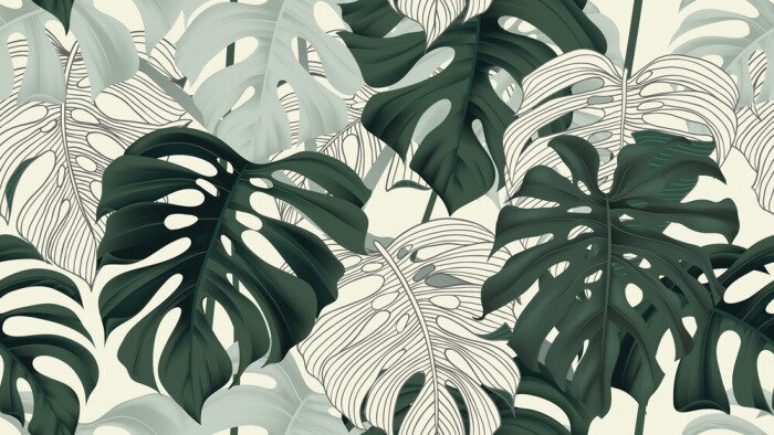 Papier peint  Motif avec des feuilles de Monstera