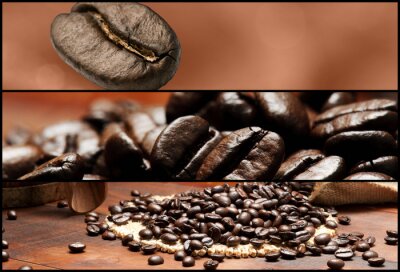 Motif avec des grains de café