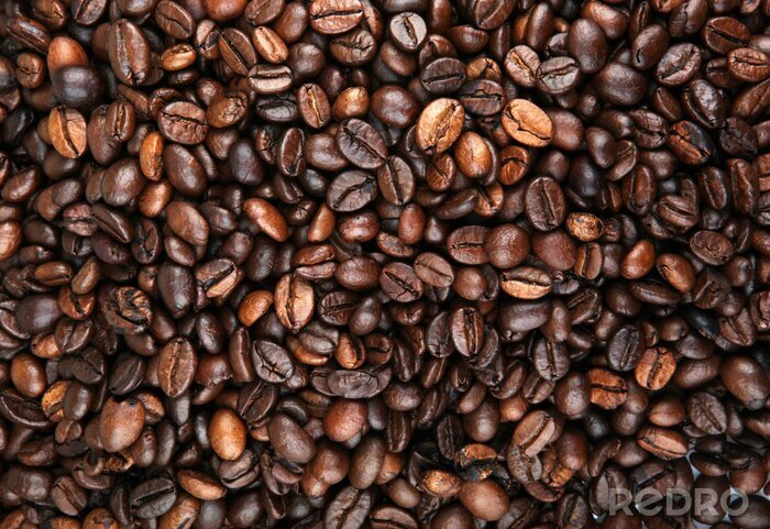 Papier peint  Motif avec des grains de café