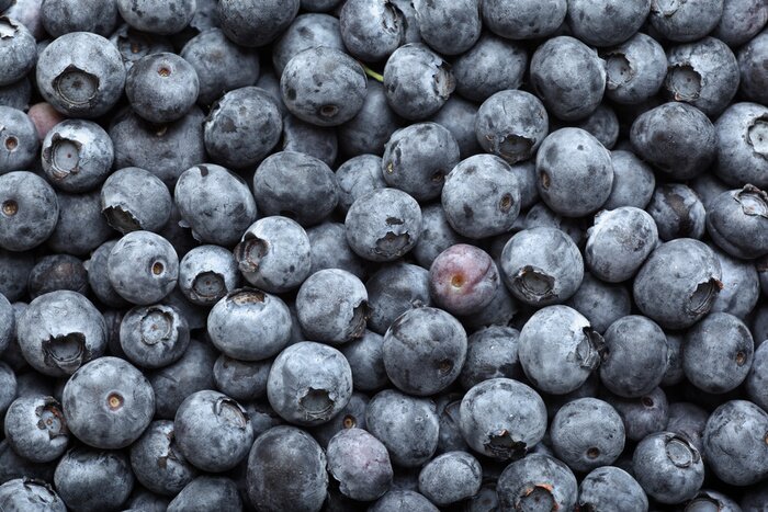 Papier peint  Motif avec des myrtilles