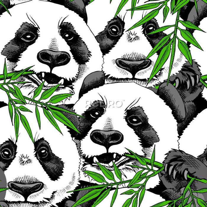 Papier peint  Motif avec des pandas et feuilles de bambou