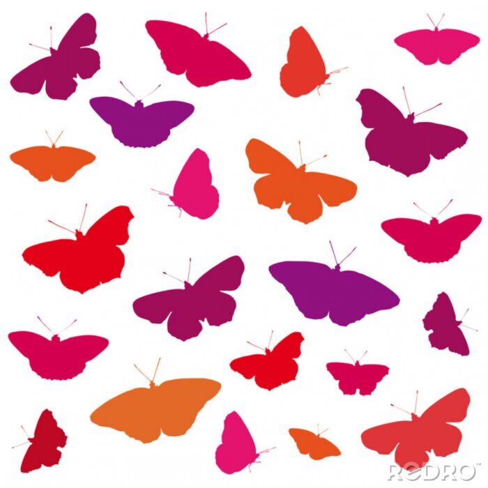 Papier peint  Motif avec des papillons colorés