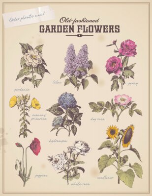 Motif botanique avec des fleurs vintage
