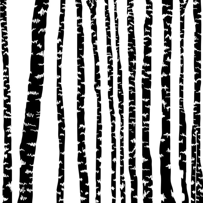 Papier peint  Motif bouleau noir et blanc