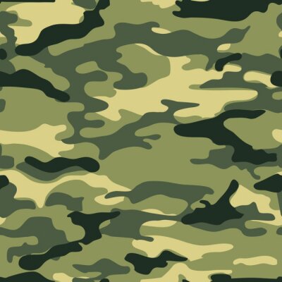 Motif camouflage