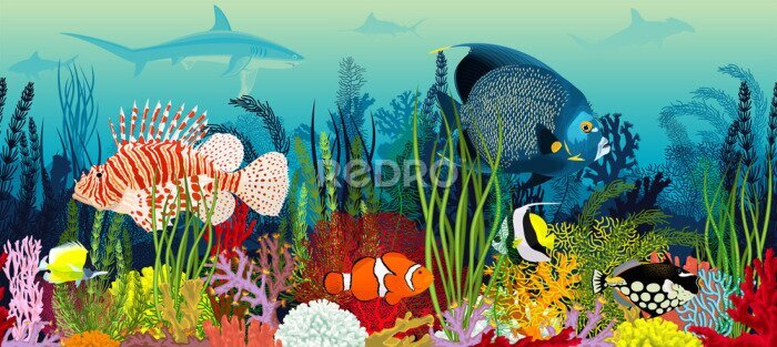 Papier peint  Motif coloré avec des poissons et des plantes tropicales
