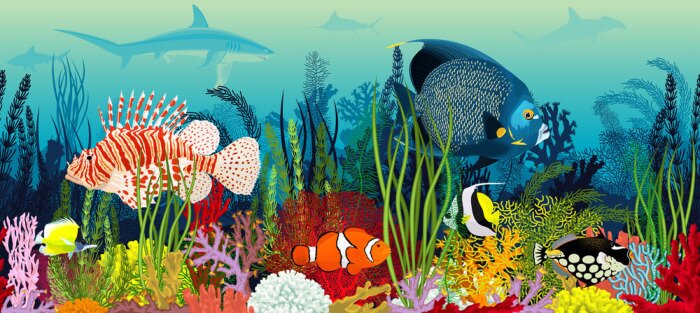 Papier peint  Motif coloré avec des poissons et des plantes tropicales