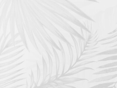 Papier peint  Motif de feuille subtil