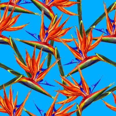 Papier peint  Motif de fleurs d'oiseau de paradis sans soudure. Fleurs exotiques aquarelles peintes à la main de strelitzia sur fond bleu aqua. Conception de textile