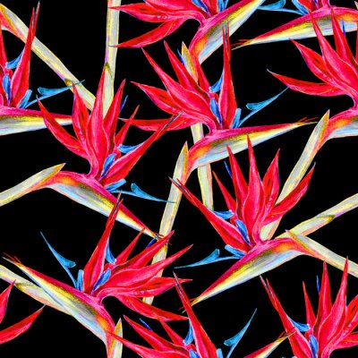 Papier peint  Motif de fleurs d'oiseau de paradis sans soudure. Peint à la main des fleurs exotiques aquarelles de strelitzia sur fond noir. Conception de textile