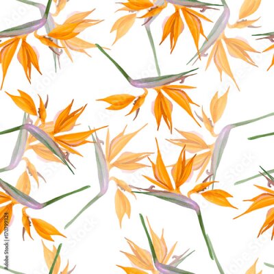 Papier peint  Motif de fleurs orange Strelitzia sur fond blanc