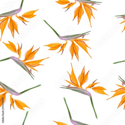 Papier peint  Motif de fleurs orange Strelitzia sur fond blanc