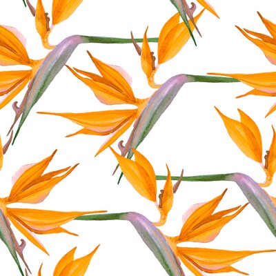 Papier peint  Motif de fleurs orange Strelitzia sur fond blanc